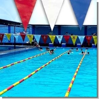 Read full article FLAGS OR FULL COLOR TRIANGULAR BANNERS (27X30CMS.) WITH 2 METAL EYES ON THE TOP - 110 UNITS